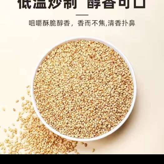 唐河县新白芝麻生白芝麻干净无沙免洗即食颗粒饱满