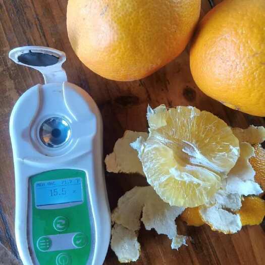 象州县爱媛38