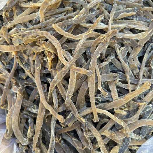 沙虫干 北海沙虫 灰沙虫 大号 淡干 味道鲜甜500克