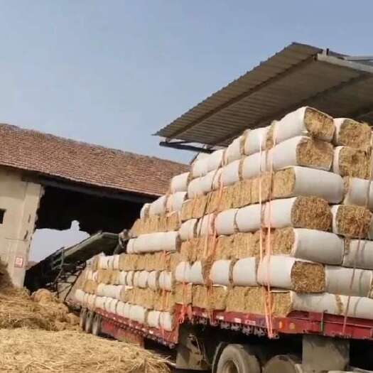 沙洋县稻草秸秆加工除尘套袋小方包