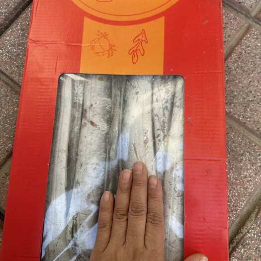 廊坊产地批发国产精品小眼带一手货源