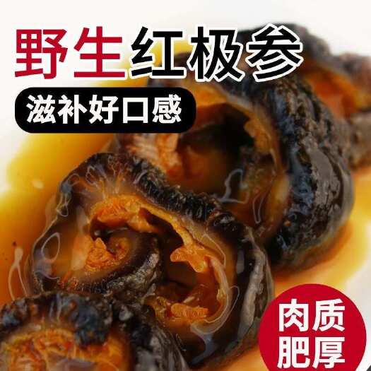 连云港红参圈北极红参即食海参野生海参北极红海参红极海参冰岛红海参