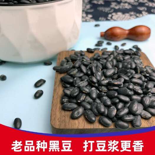黑豆正品药用黑豆中药材雄黑豆扁豆