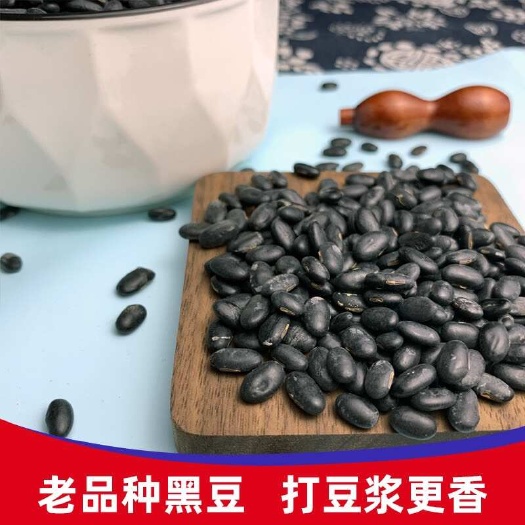 亳州黑豆正品药用黑豆中药材雄黑豆扁豆