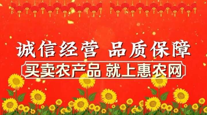〖现货〗四川爱媛38号果冻橙手剥橙子皮薄多汁柑橘果肉细腻清甜