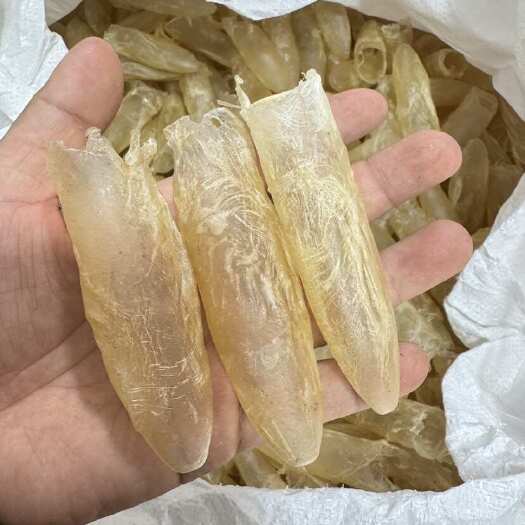 北海50头咸水筒胶 白花胶 黄花胶 鱼胶