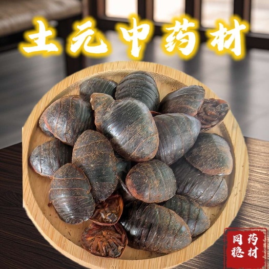 鄄城县水洗土元 中药材土元 同稳药材产地直发量大从优