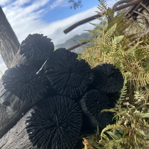 贵州天然优质木炭 农业生产 速发货 环保节能