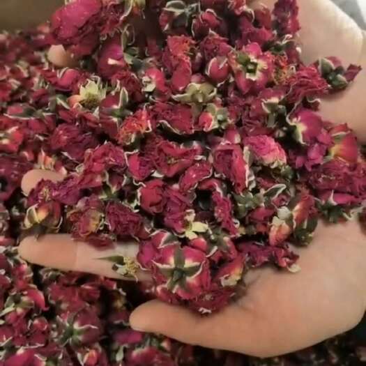 亳州金边玫瑰花冠 无硫 新货 长期供应花茶