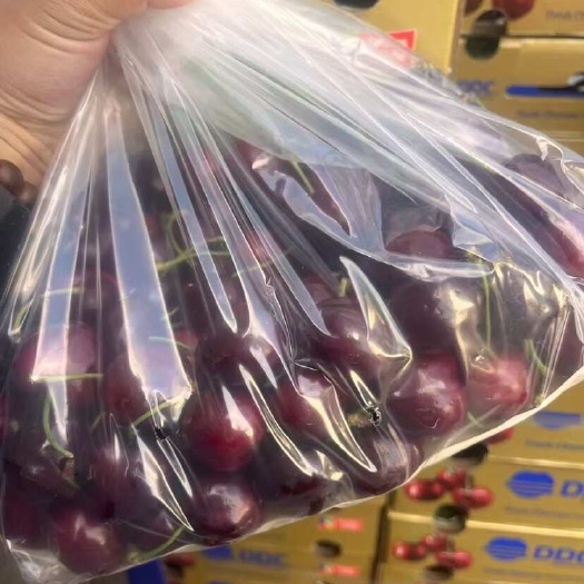 广州智利桑提娜车厘子 精品空运 JD/JJD/3JD 白云区发货