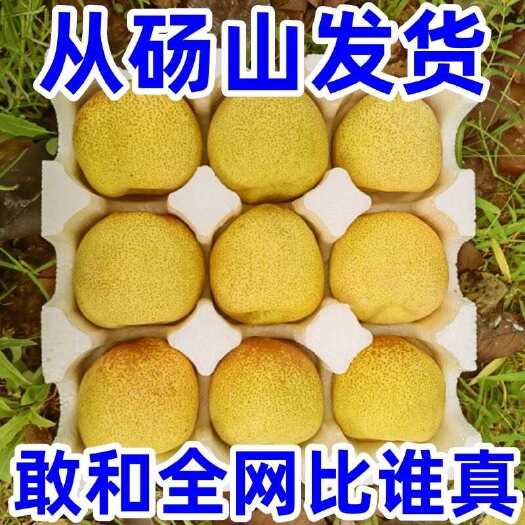 长沙纯甜砀山大青梨皇冠梨薄皮脆甜多汁新鲜当季水果现摘整箱批发价