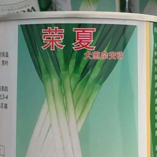 荣夏大葱种子，产地批发，基地培育
