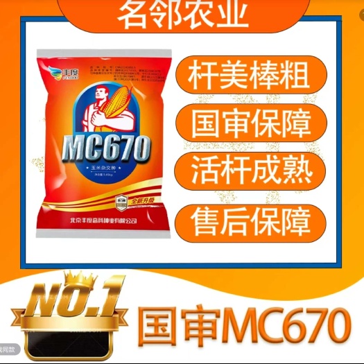 郑州mc670玉米种子国审矮杆抗倒伏大棒批发抗病抗旱涝苞米种正品