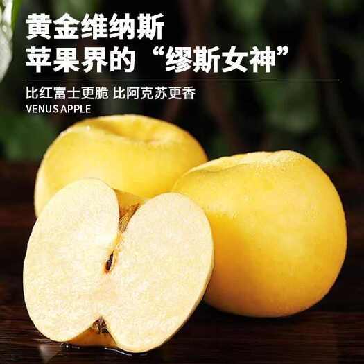 威海威海维纳斯黄金
