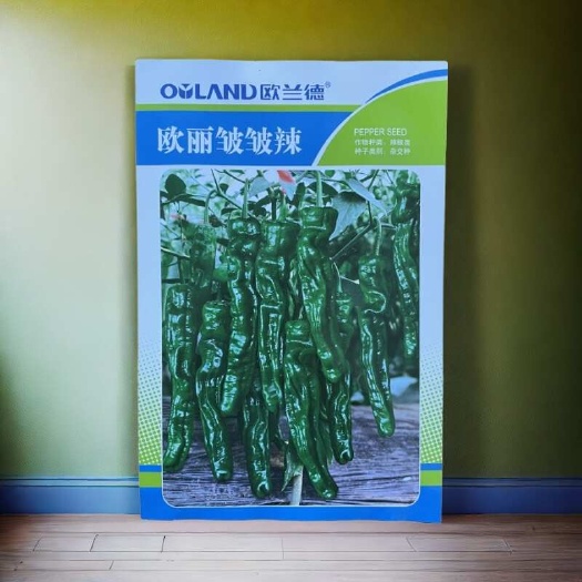 凯里市欧丽皱皱辣薄皮辣椒种子辣味浓香连续座果能力强商品性