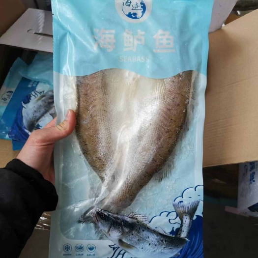 海鲈鱼
