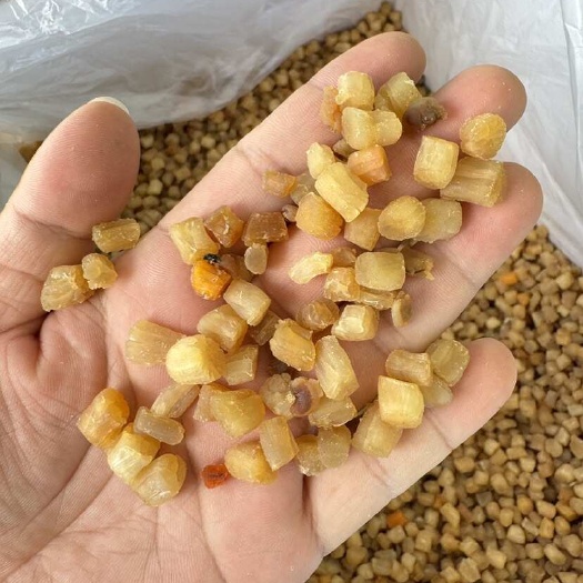 北海干贝瑶柱 小号 淡干 足干 1000粒左右一斤