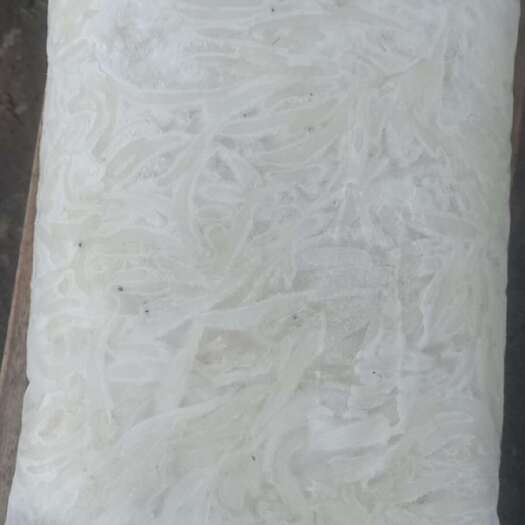 宜昌自然生态淡水银鱼规格4-6