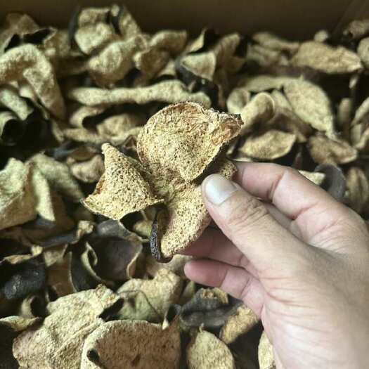 江门《新会陈皮：岁月凝香，品质天成的药食瑰宝》