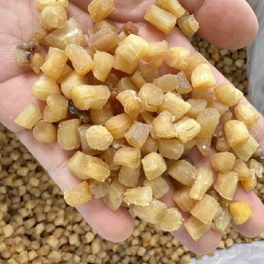 北海中号大连干贝 干贝瑶柱 淡干 足干 490粒一斤 30斤一箱
