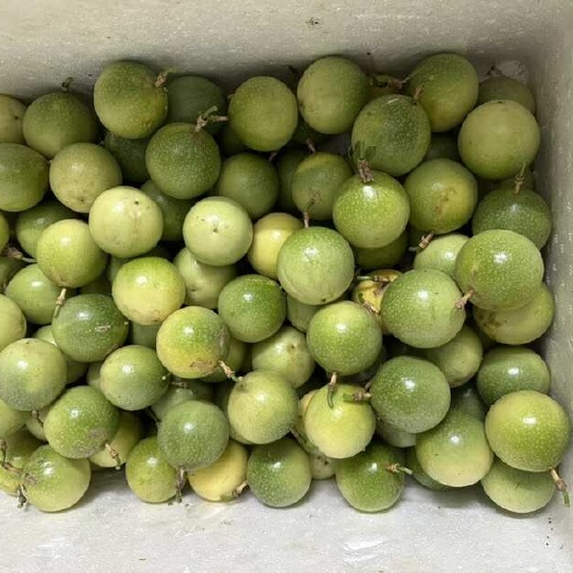 钦州黄金百香果