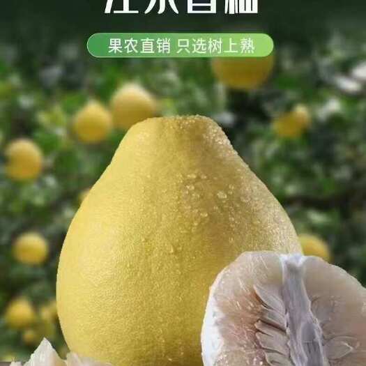 江永县湖南省江永县特产香柚