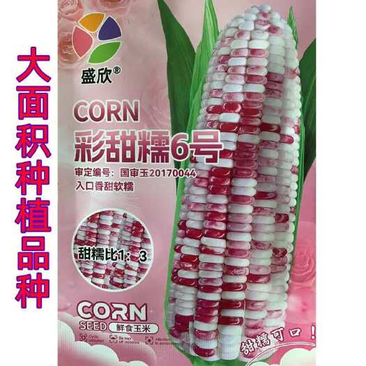 玉米种子彩玉米种子彩甜糯6号玉米种子大田种植蔬菜种子水果玉米