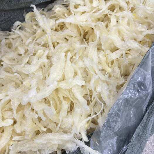 北海小龙胶条水发 油发巴沙鱼胶条  150头 工厂加工花胶原料