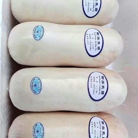 连云港新鲜屠宰乳猪