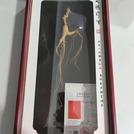 撫松縣國(guó)檢一等山參，一參一證，帶禮盒發(fā)貨