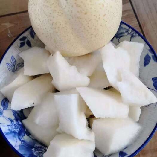 泰安山农酥梨树苗