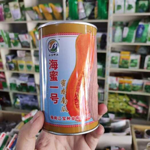 华容县海南江宝种业海蜜一号蜜本南瓜种子早中熟瓜肉橙红色味甜高产大田