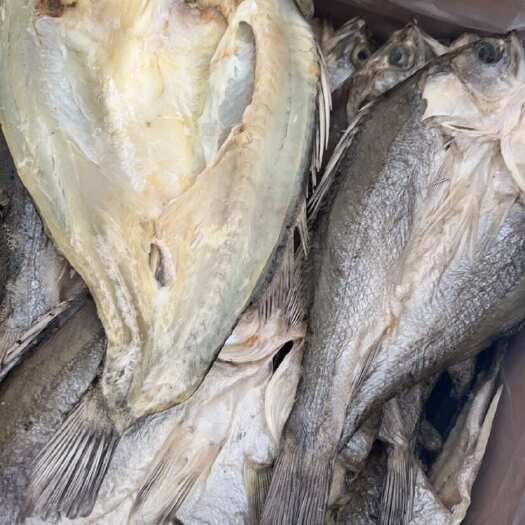 佛山开边海鲈鱼干 地摊 电商 批发 鲈鱼干 干鲈鱼 鱼干 干鱼