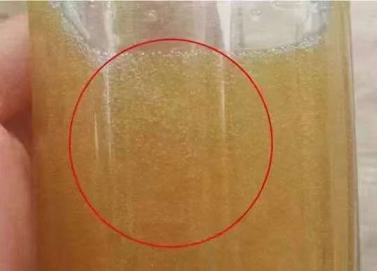 博白县农家土蜂蜜，荔枝蜜