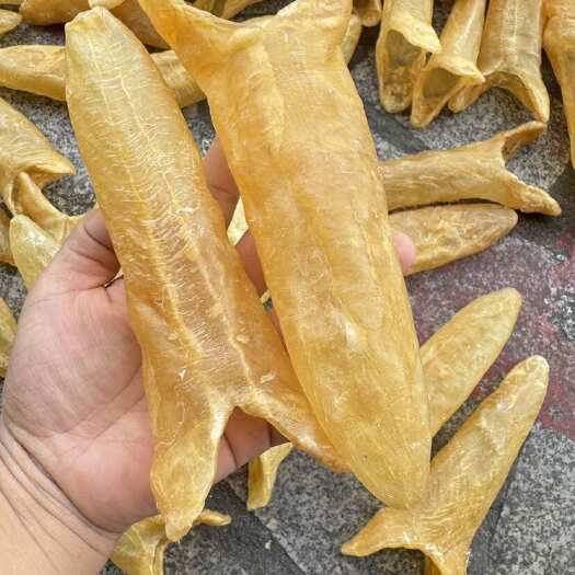 北海黄花胶10头一斤 清水A货 黄花筒胶500克