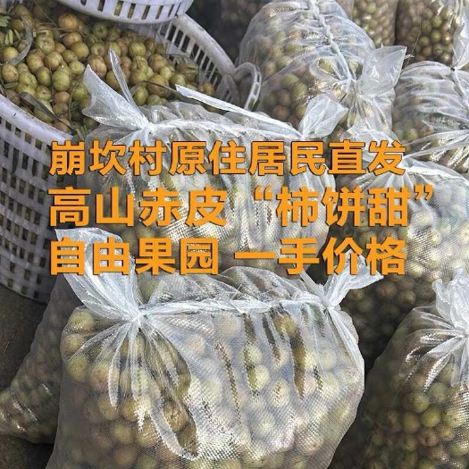 普宁市新鲜油甘果现摘普宁崩坎本地种植潮汕柿饼甜水果余甘子非滇橄榄柑