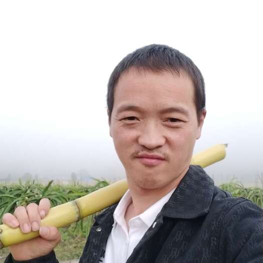 黄皮甘蔗