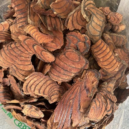 广州鸡血藤