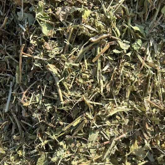 社旗县精品花生秧草