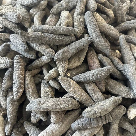 北极参30头螺纹参足干淡干小有刺参 厚肉酒店海味干货批发