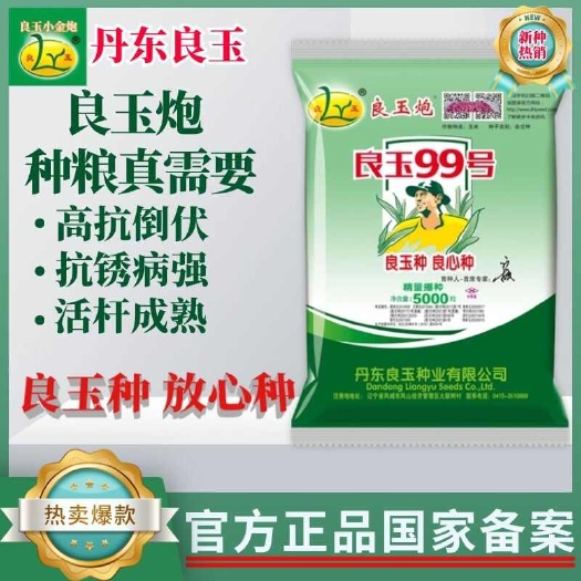 良玉99良玉炮玉米种丹东良玉公司正品保障一袋一码