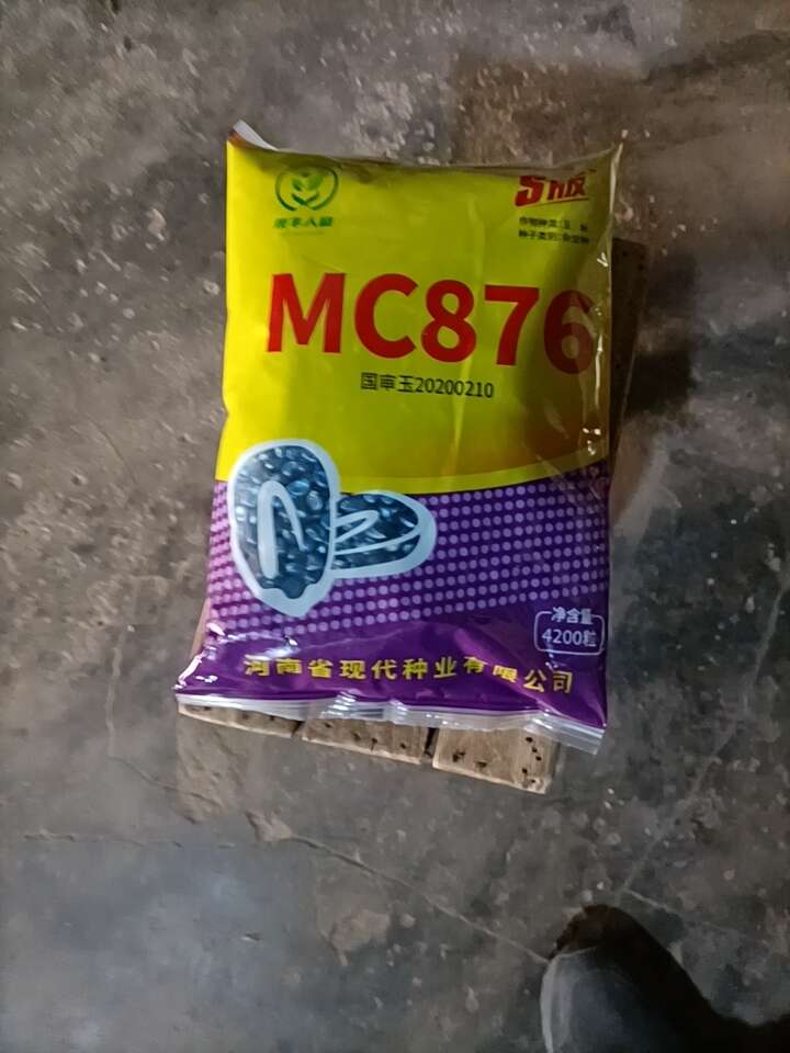 mc876玉米种