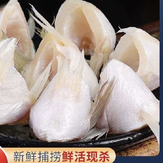 连云港鱼翅鱼鳍翅海鲈鱼鳍全翅海鲜水产鲈刺翅鲈鱼冰鲜鲈鱼翅烧烤食材