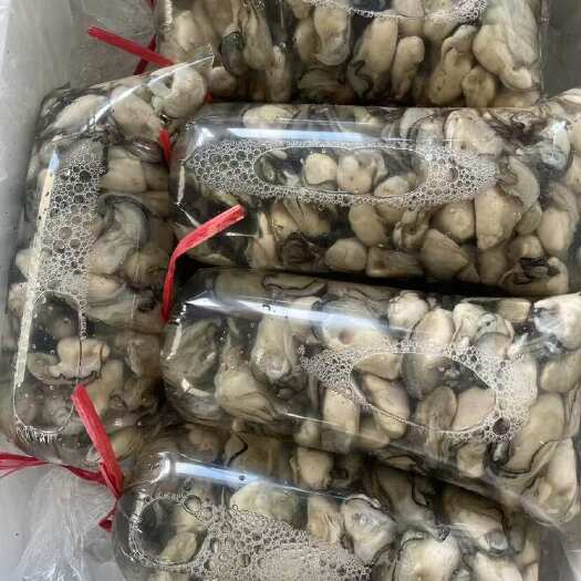 饶平县生蚝肉，特大，中，小肉