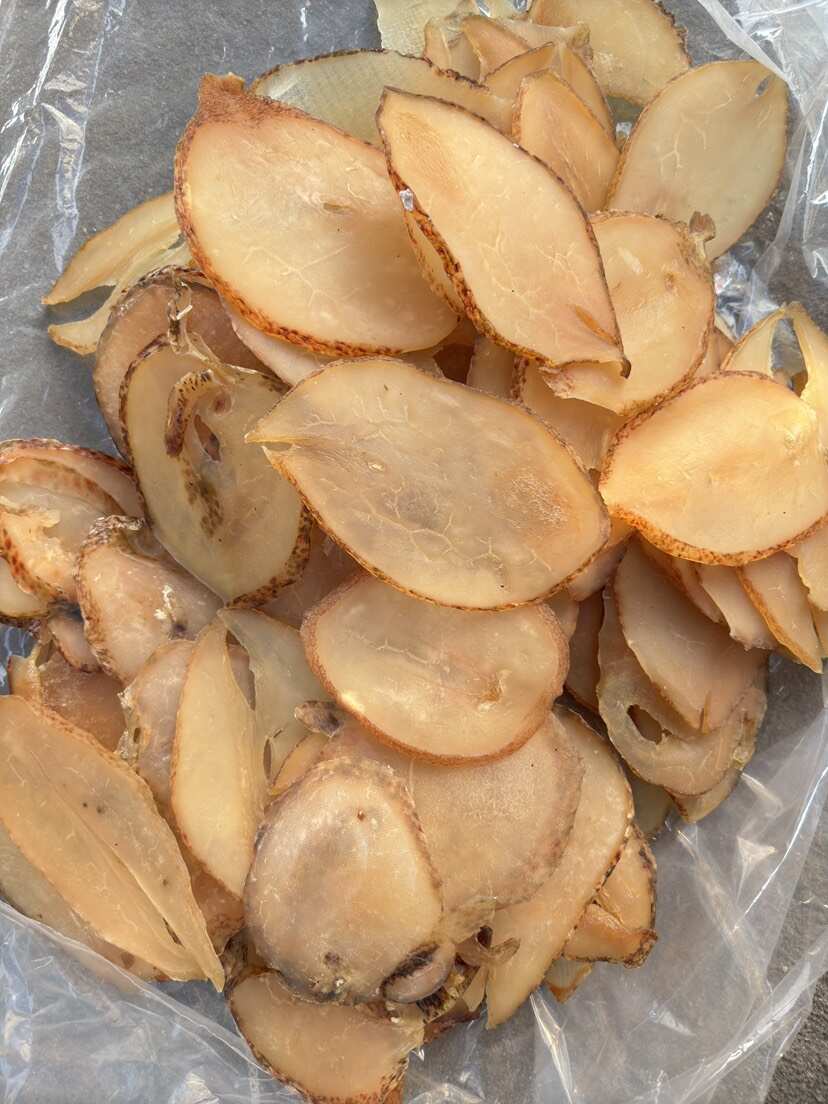 响螺片 单片 大号 A货 漂亮货