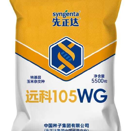 双抗玉米杂交种矮杆大棒丰产-远科105WG抗虫耐草甘膦