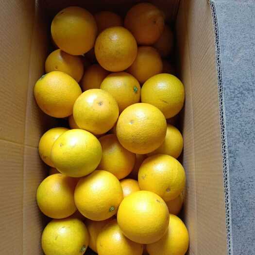 永兴县湖南永兴冰糖橙自家新鲜薄皮当季时令现摘纯甜大果整箱孕妇礼盒装