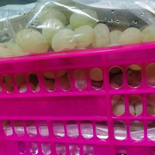 阿图什市阿图什木纳格