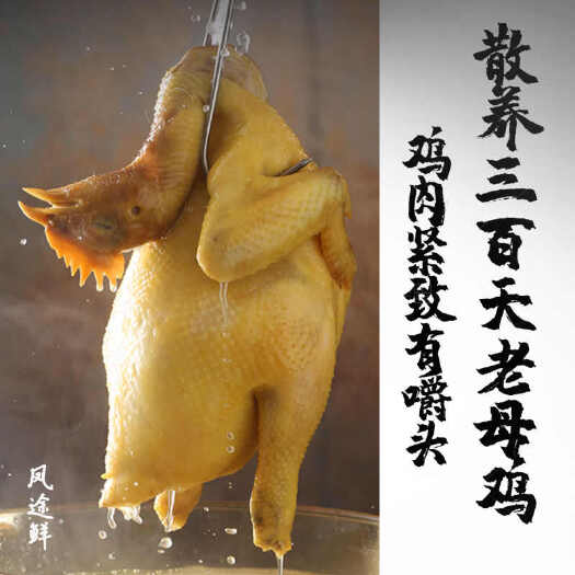 广东古法盐焗鸡精品整只真空开袋即食盐焗鸡咸香鸡散养