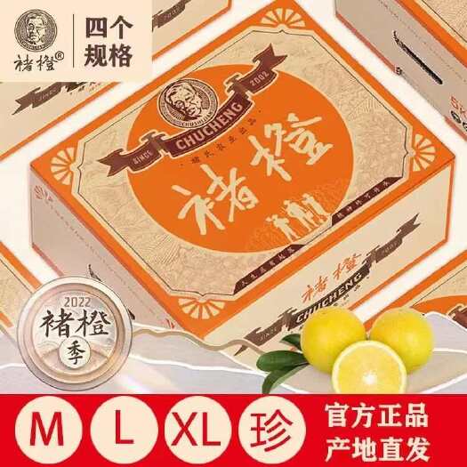 昆明【现货】褚橙2024季年货实建橙子5kg水果礼盒云南哀牢山高